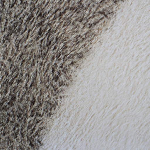 Image of a clean, bright-colored carpet with a noticeable difference in appearance after effective cleaning.
