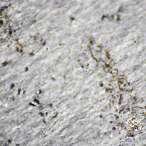 A microscopic view of common carpet contaminants such as dust mites, pollen, and bacteria.