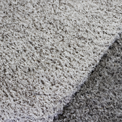 An image showing a well-maintained, clean carpet over a period of time